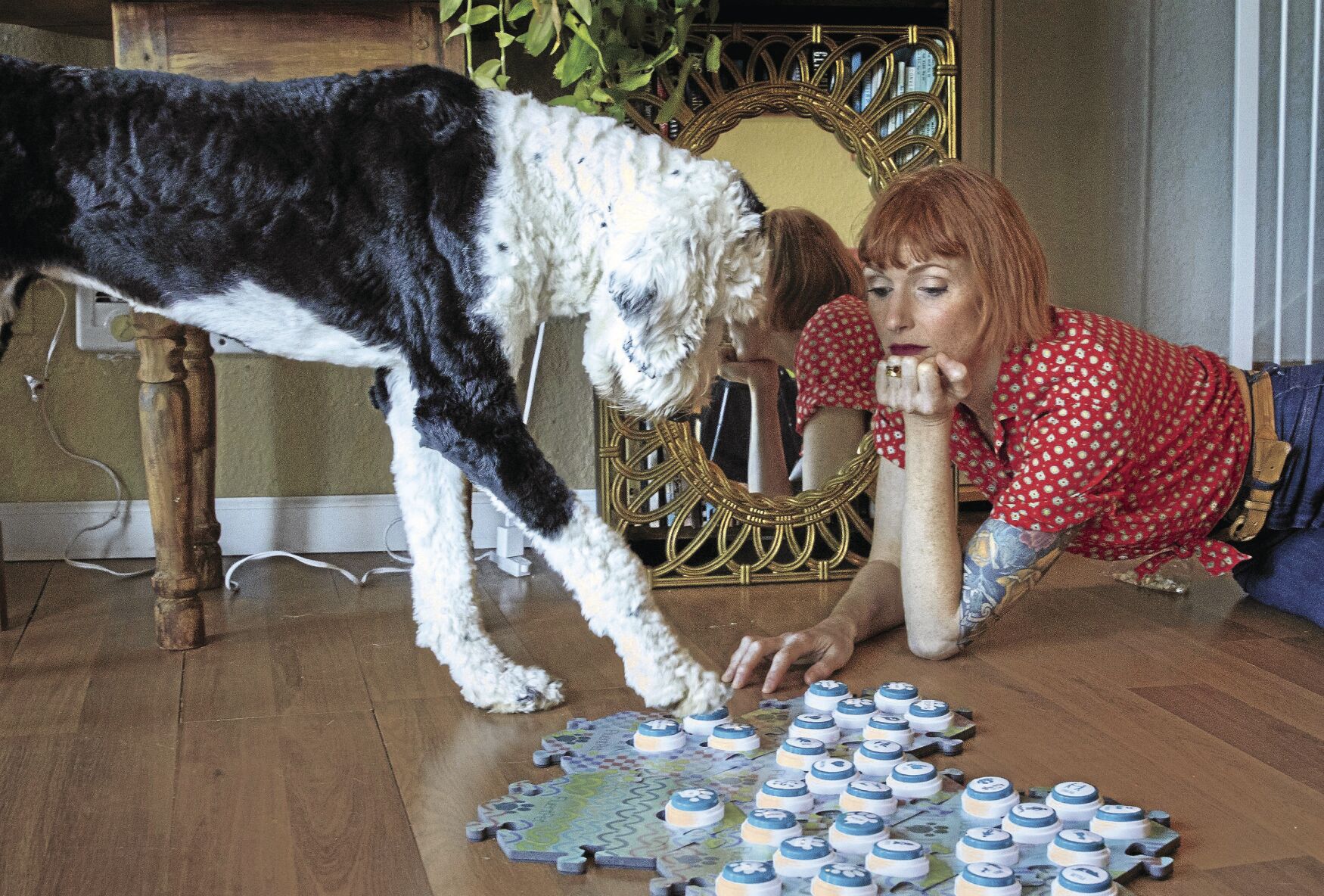 LIFE-PETS-DOG-COMMUNICATE-2-SE
